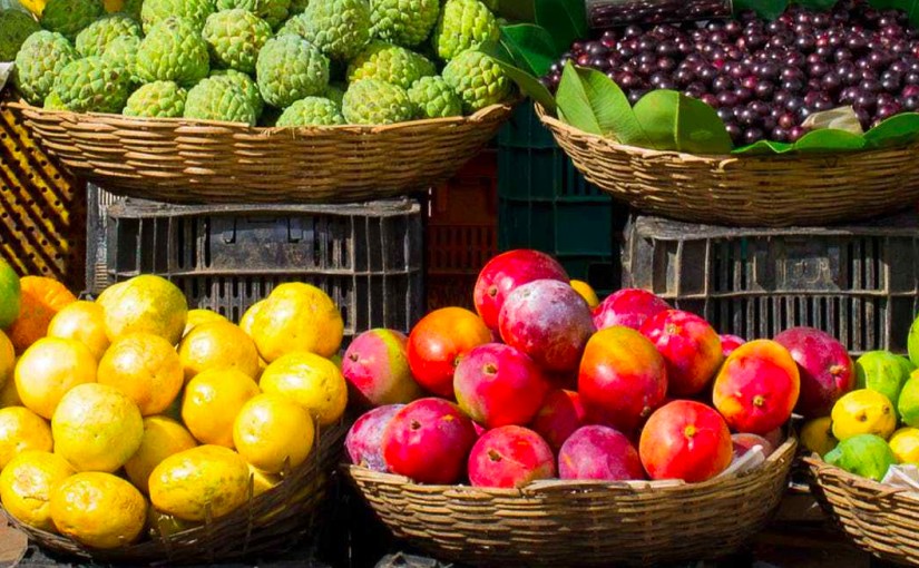 The House and First&nbsp;Fruits