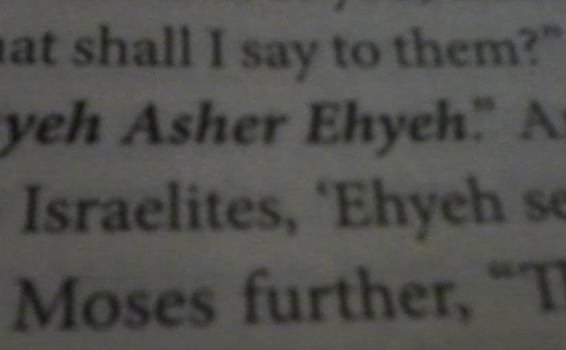 Eighteen (or 19) Names, Seven&nbsp;Voices