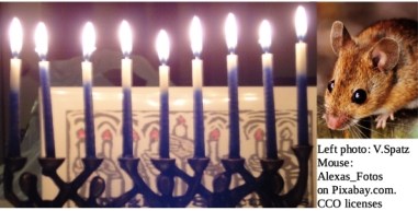Mouse and Menorah.jpg