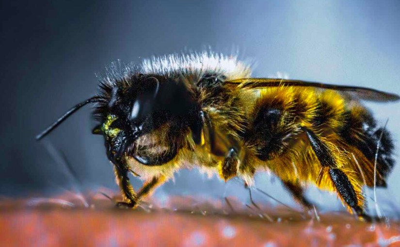 Gathering Sources: Devarim