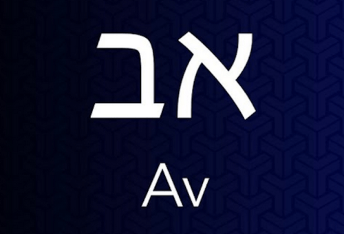 Nine Days of&nbsp;Curiosity