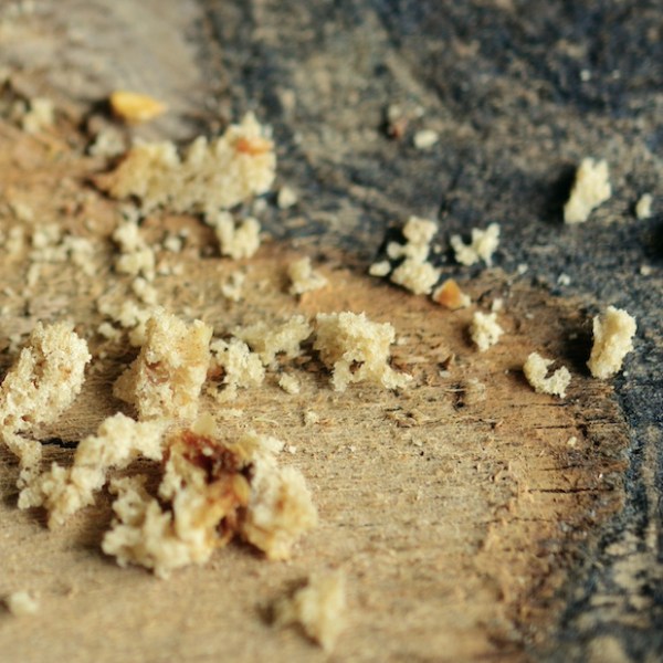 thoughts on nullifying “the&nbsp;strong”